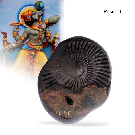 which shaligram is best|shaligram stone.